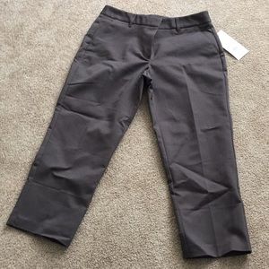 Maurices Crop Dress Pants